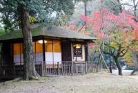 紅葉と食事用の客室