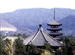 Kohfukuji temple