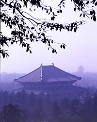 Todaiji temple