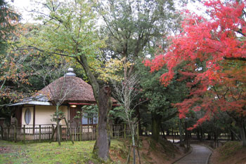 紅葉と客室